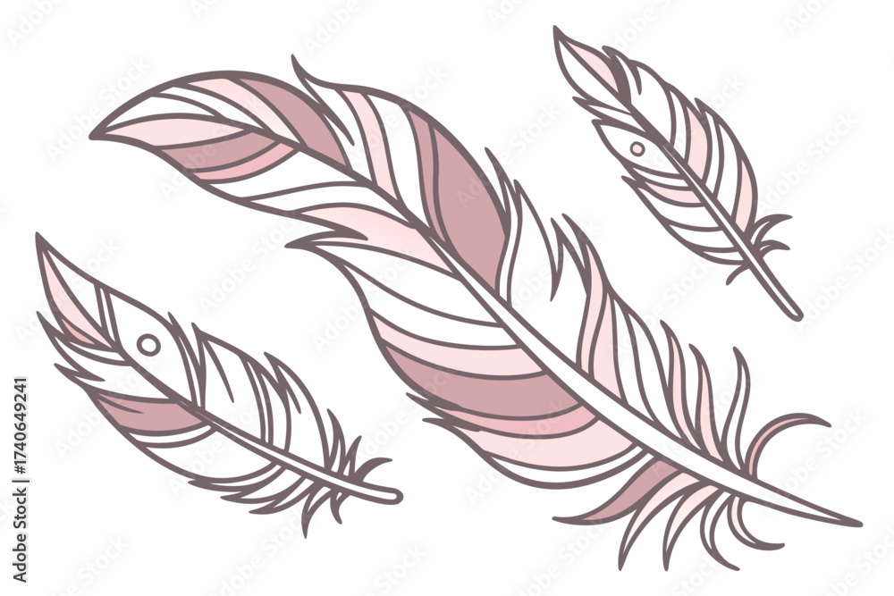 Obraz premium set of feathers