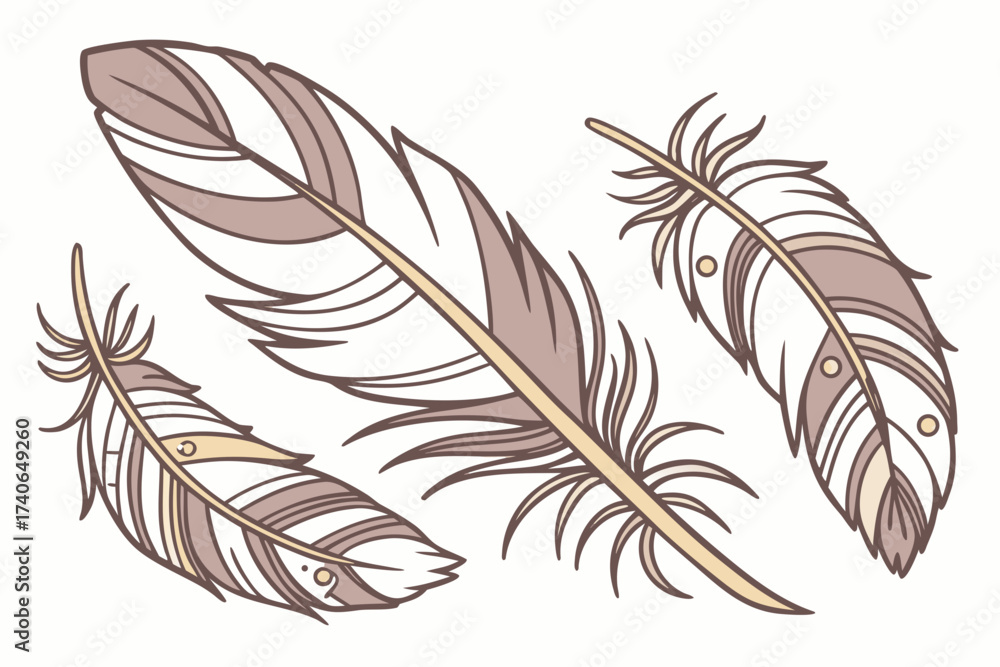 Obraz premium feather on white background