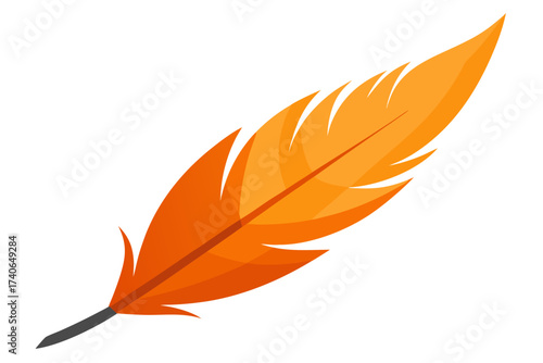 feather on white background