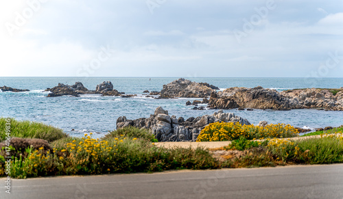 Pacific Ocean in Carmel by the Seas with Rock Cliffs in Background
