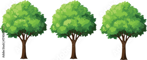 Green deciduous trees illustration, lush foliage, nature background, botanical design, eco friendly concept, 