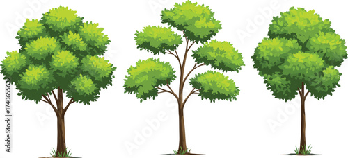 Illustrated green trees, nature design, forest elements, eco friendly artwork, botanical clipart, summer foliage, educational illustration, landscape decoration, natural environment, greenery