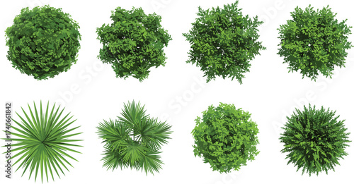 Top view plant icons, landscape design foliage, architectural greenery symbols, garden planning trees, urban vegetation illustration, decorative nature elements, vector set
