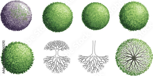 Tree canopy, root system, plant growth, botanical illustration, ecological balance, green foliage, underground roots, nature design, biology diagram, vegetation artwork
