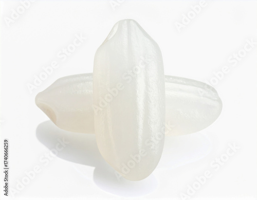 쌀-쌀알-흰쌀-볍쌀-벼의 낱알