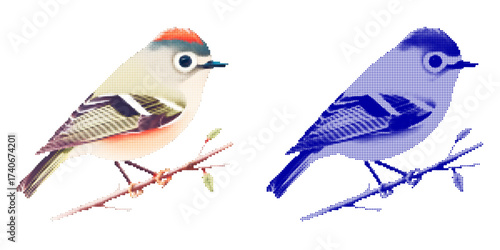 Colorful vector illustration of two birds perched on branches in dot style