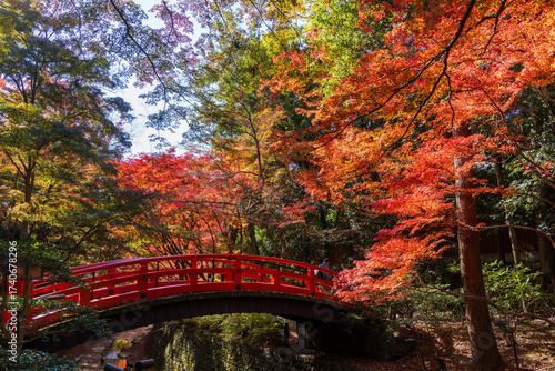 北野天満宮もみじ苑の赤い橋と紅葉