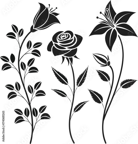 Elegant floral arrangement featuring a rose lily and leafy stem in a sophisticated black and white vector design for backgrounds and decorative elements