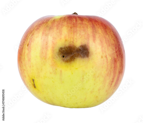 The apple is yellow rotten isolated on a white background