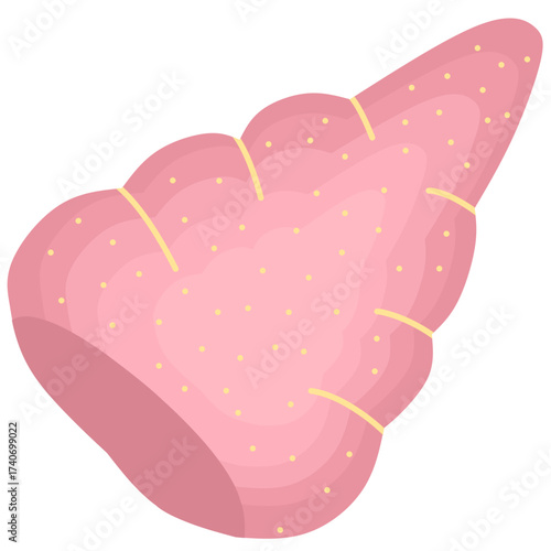 Pink conch seashell illustration with dotted texture