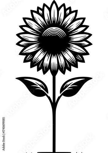 Minimalist Sunflower Line Art Black and White Vector Illustration