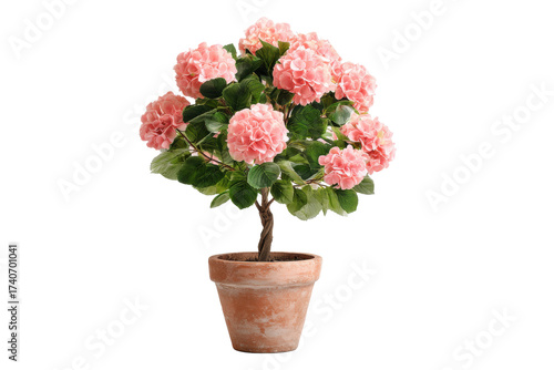 Wallpaper Mural Pink Hydrangea Plant in Pot on White Transparent Background Torontodigital.ca