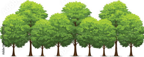 Row of deciduous trees, lush green foliage, natural forest design, environmental conservation, landscape illustration, botanical background, outdoor greenery, eco-friendly nature concept