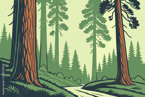 Sequoia National Forest in California, giant sequoia groves with massive trunks and forest canopy