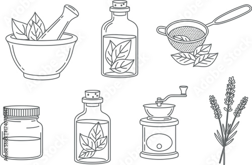 Vector art of collection of herbs and spices for aromatherapy mortar and pestle