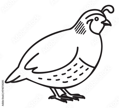 Simple black outline of a stylized quail with distinctive plume and patterned details, depicted in a minimalist line art style.