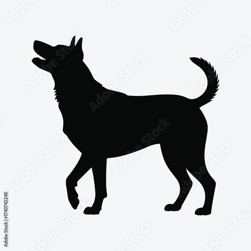 Silhouette of a dog standing with its mouth open and tail up animal