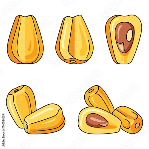 Fresh Jackfruit Arils Vector Illustration Set Healthy Snack