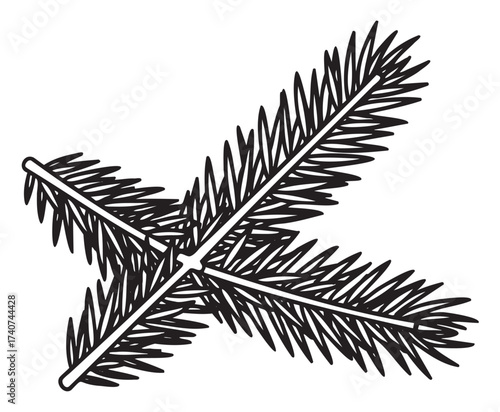 Black outline vector image of cross-section conifer tree pine needle branches. minimalistic linear design for nature, forest, and botanical themes.