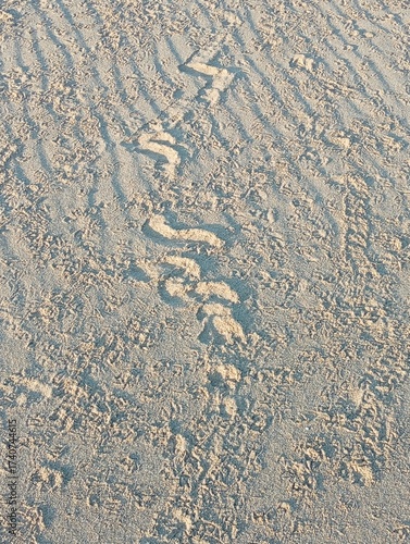 traces on sand