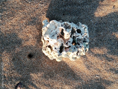 stone on the beach