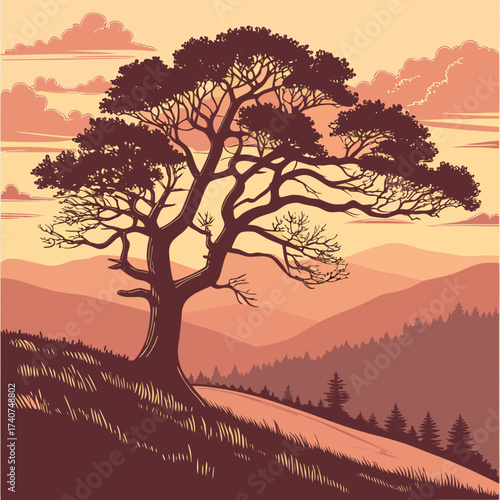 sunset in the mountains