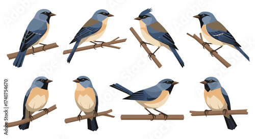 A collection of charming small blue birds perched on wooden branches showcasing their diverse poses and intricate feather details.