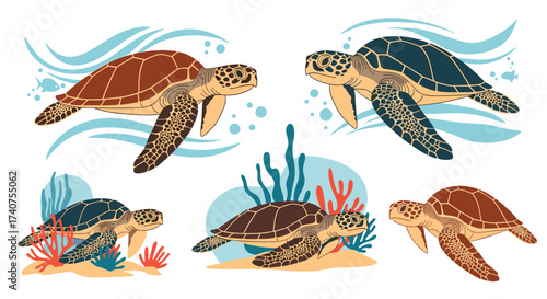 Illustrations of sea turtles swimming in the ocean and resting on the seafloor surrounded by coral reefs.