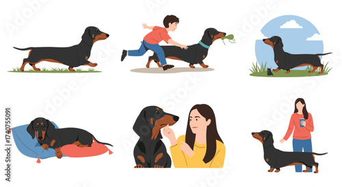 A cute dachshund dog enjoys various activities with its owner in outdoor and indoor settings.