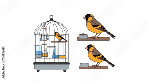 Two finches observe a complex bird feeder apparatus within a cage.