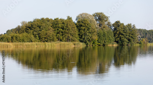 A body of water with trees on the shore