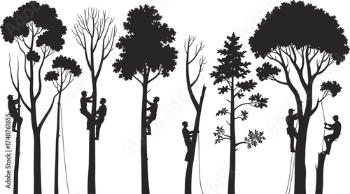 Silhouette illustration of arborists climbing tall trees with ropes and harness, tree cutting workers, forestry labor, outdoor logging industry design