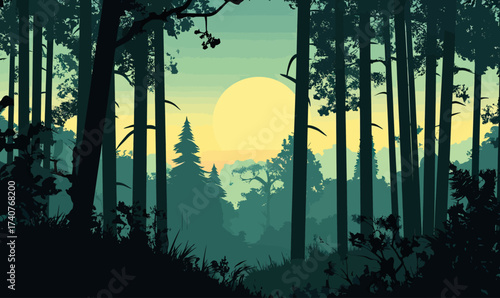 Sunrise forest landscape silhouette with tall trees and dense foliage in natural woodland environment vector art background