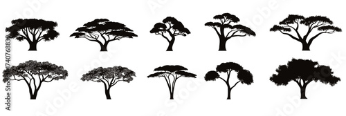 Silhouette set of African savanna trees black flat icons isolated on white background minimalist vector collection for safari nature logos design