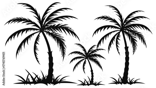 Evocative palm tree silhouette collection for tropical designs, vacation promotions, or summer event graphics with exotic island vibes and bold, modern simplicity