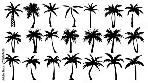 Tropical paradise awaits with these diverse palm tree silhouettes perfect for vacation vibes, summer designs, and exotic island themes in your creative projects