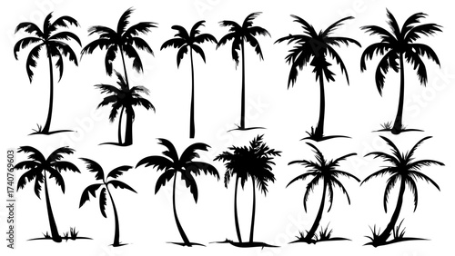 Evocative collection of tropical palm tree silhouettes, perfect for summer designs, vacation themes, and island-inspired graphics conveying relaxation and escape