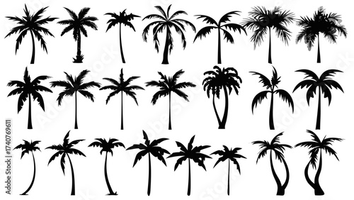 Exotic silhouettes of swaying palm trees conjure tropical vacations and island getaways, perfect for adding a touch of paradise to your design project