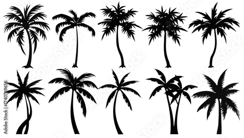 Tropical vibes flow with these striking palm tree silhouettes, perfect for adding a touch of paradise and summer fun to your next creative project