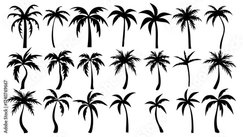 Black palm trees silhouettes collection for tropical summer vacation designs, beach resort advertising, and exotic island travel posters with flexible vector shapes