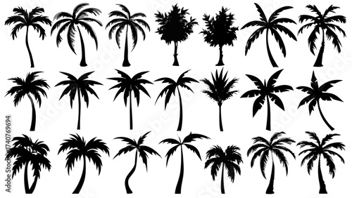 Dreamy tropical palm tree silhouettes evoking vacation vibes, perfect for summer designs, travel promotions, and paradise getaways with sunshine and relaxation
