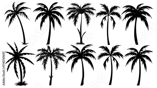 Tropical Getaway Vibes with Stunning Palm Tree Silhouettes, Perfect for Summer Designs and Vacation Promos, Evoking Relaxation and Island Paradise Feels