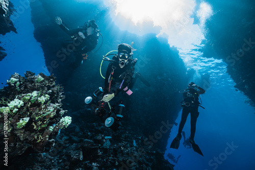 Wallpaper Mural diver exploring St Johns cave system in the Red Sea Torontodigital.ca