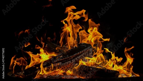 Detail Shot of Campfire , G...