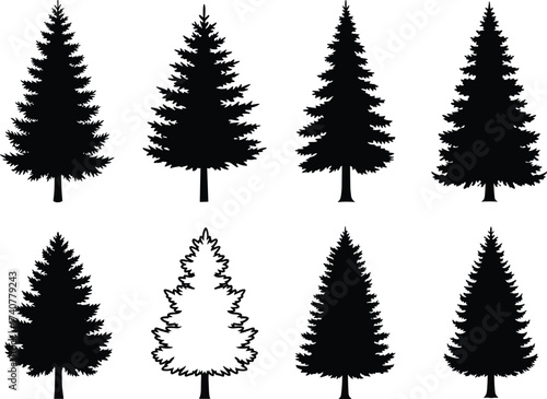 Set of pine tree silhouettes in various shapes isolated on white background, evergreen forest conifer design for nature, decoration, landscape.