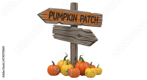Wooden Signpost with Pumpkin Patch Sign Surrounded by Orange and Yellow Pumpkins