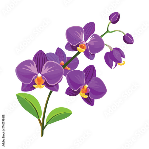 "Realistic Purple Orchid Vector with Green Leaves – Botanical Clipart"