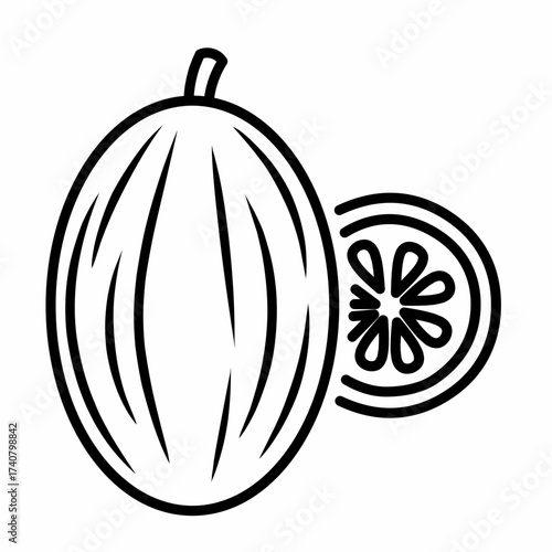 Summer melon line icon, clean minimal vector style