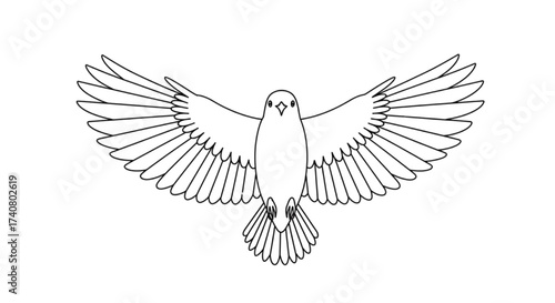 Flying Dove with Spread Wings, Front View Bird Vector Line Art Outline Icon