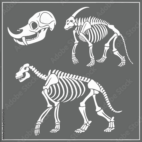 Vector art of skeletal remains of prehistoric animals, including a skull and two full skeletons, isolated on gray background, showcasing ancient fauna